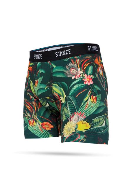 Stance Playa Larga boxer