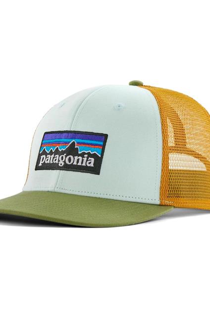 Patagonia P-6 Logo Trucker Hat ( Wispy Green)