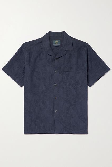 Portuguese Flannel Palm