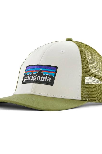 Patagonia P-6 Logo LoPro Trucker Hat (white/green)